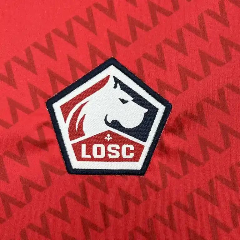 Kit Criança Lille Alternativa 24-25 - Ligue 1