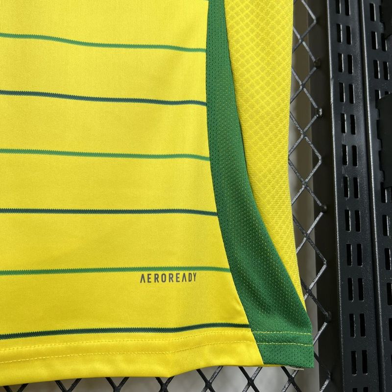 Camisola Celtic Alternativa 24-25